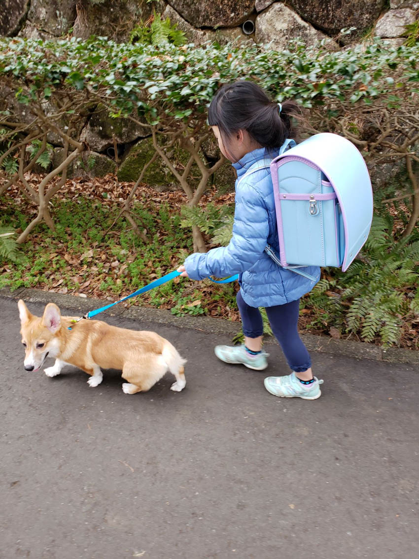 宇野カバン 岐阜県岐阜市の手づくりランドセル